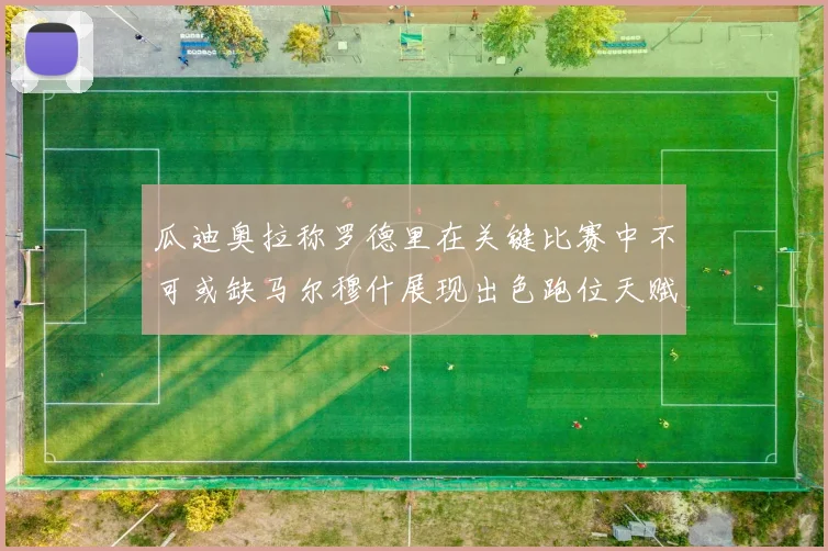 瓜迪奥拉称罗德里在关键比赛中不可或缺马尔穆什展现出色跑位天赋